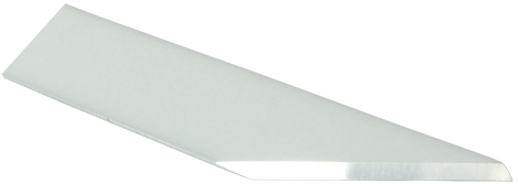 SBIZP23